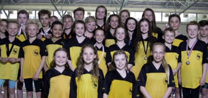 Otters at Blackpool Rocks 2015